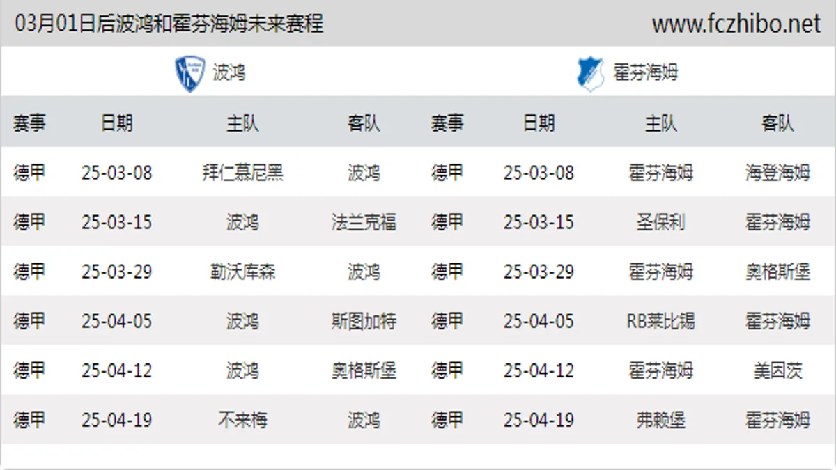 03月01日后波鸿和霍芬海姆近期赛程预览