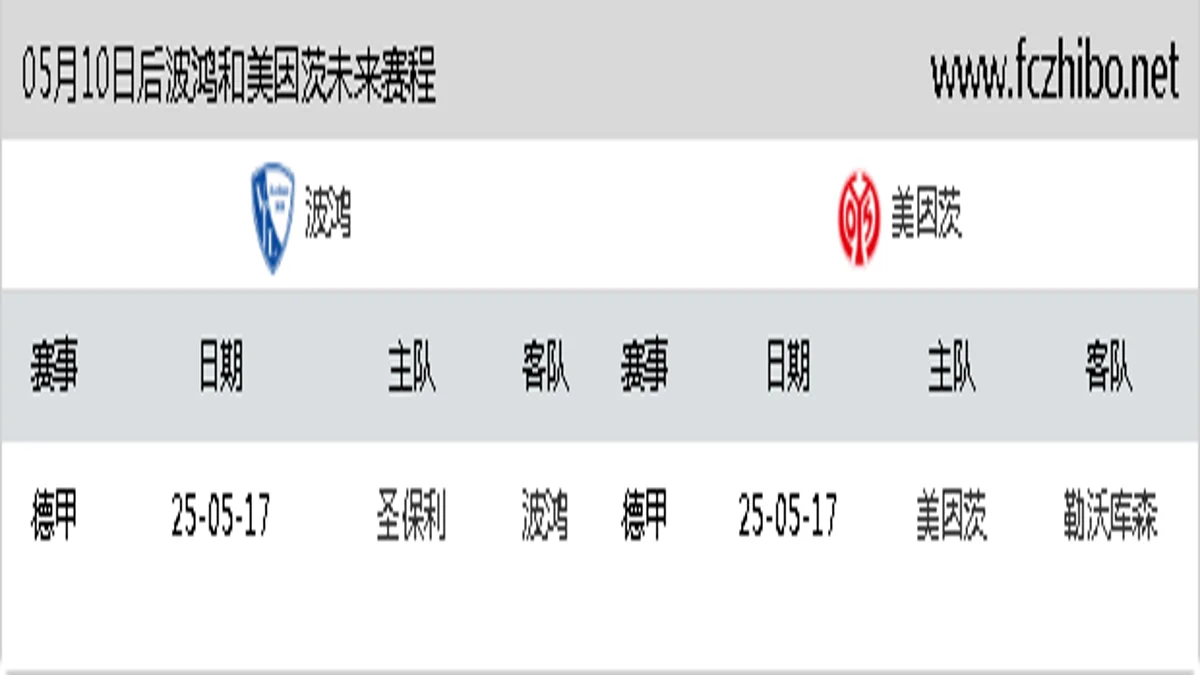 05月10日后波鸿和美因茨近期赛程预览
