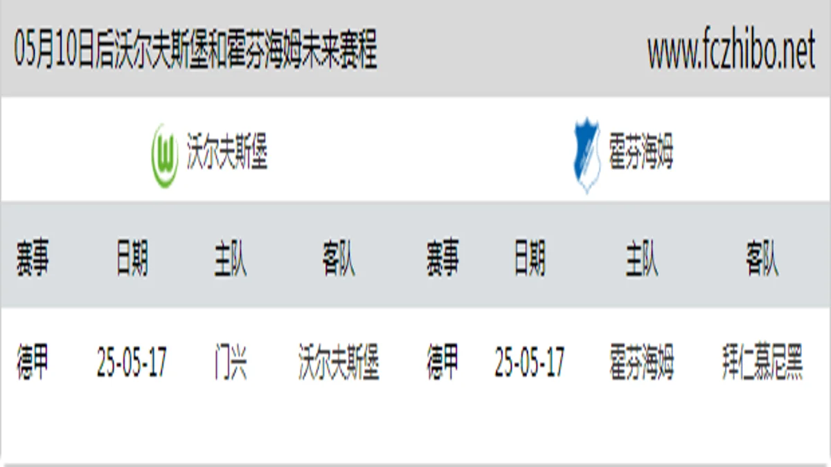 05月10日后沃尔夫斯堡和霍芬海姆近期赛程预览