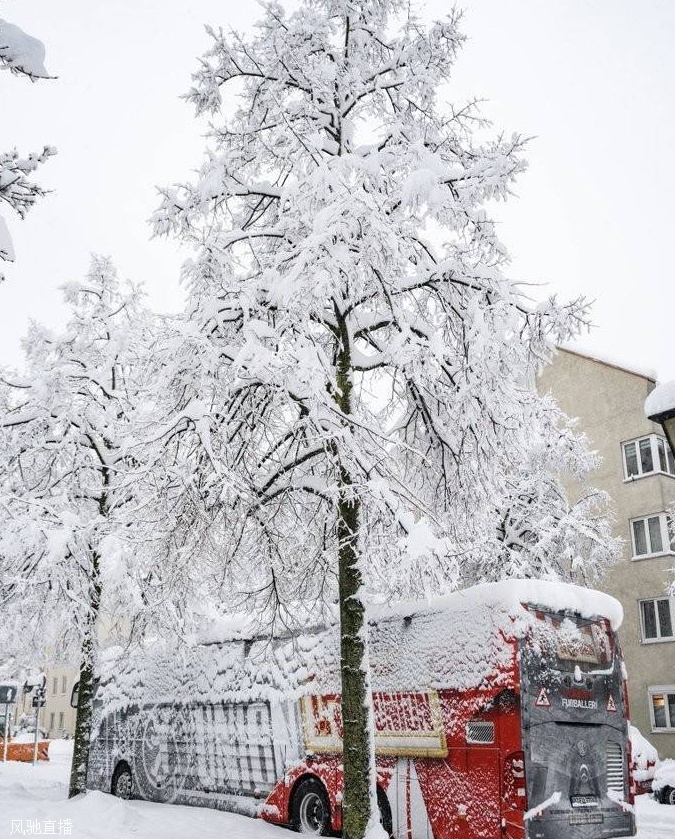 ️拜仁比赛延期！慕尼黑大雪压断树枝，柏林联合大巴被白雪覆盖