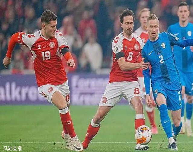 欧洲杯球队巡礼之丹麦：北欧童话再续新篇相关图四
