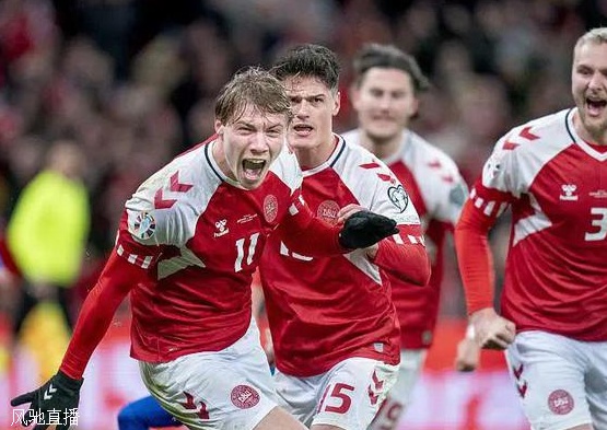 欧洲杯球队巡礼之丹麦：北欧童话再续新篇相关图三