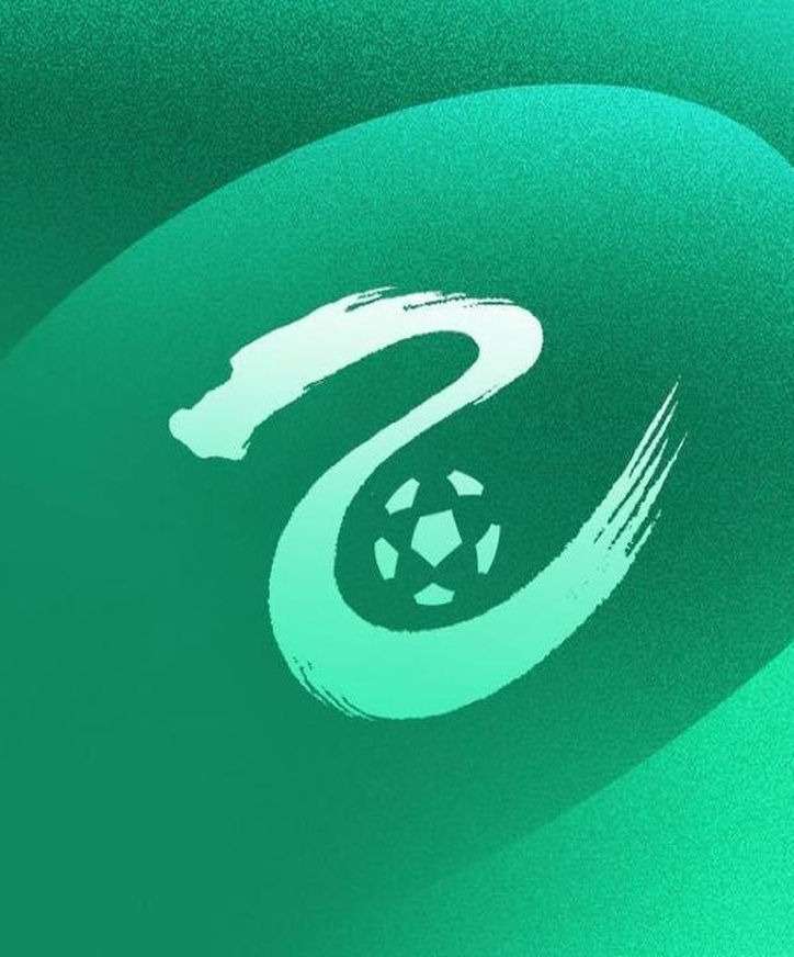中甲联赛2总结：陕西联队和广东广州豹队分别击败对手结束连败