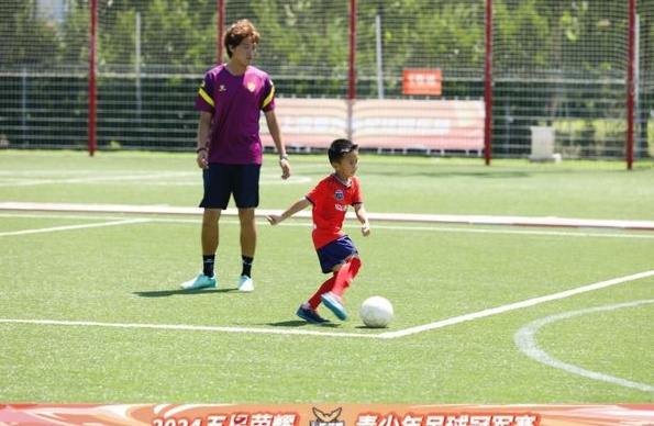 逐梦指南：“五星荣耀”教练的教学风格揭秘相关图四