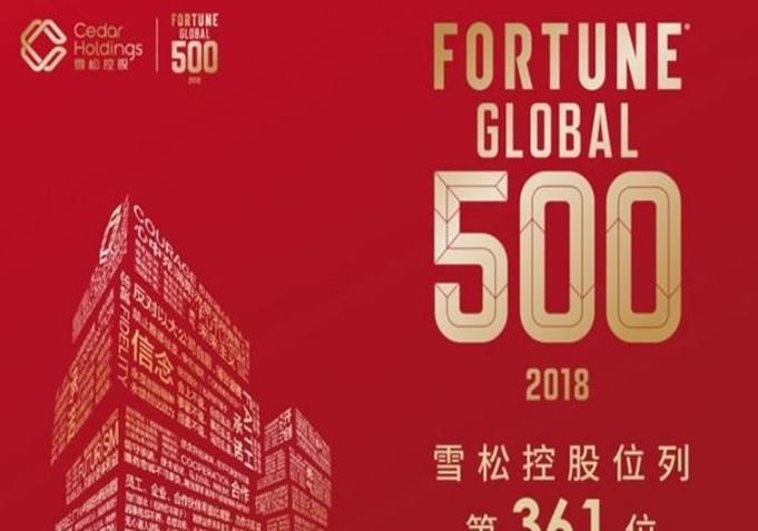 世界500强企业的梦想已经破灭，广州正在等待下一个民企一哥相关图四