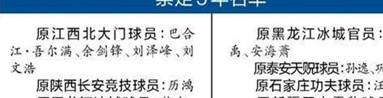 中国足球巨额罚款：43名球员终身禁赛相关图二