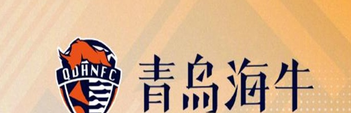 海牛官方：本轮俱乐部将负担远征军球票，核销后退回球票费用