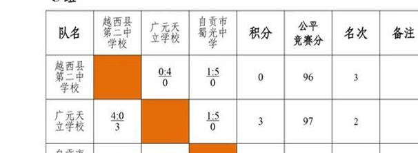 贡嘎杯丨四川省第五届“贡嘎杯”青少年校园足球联赛（小学组、初中组）资格赛晋级名单出炉相关图十五