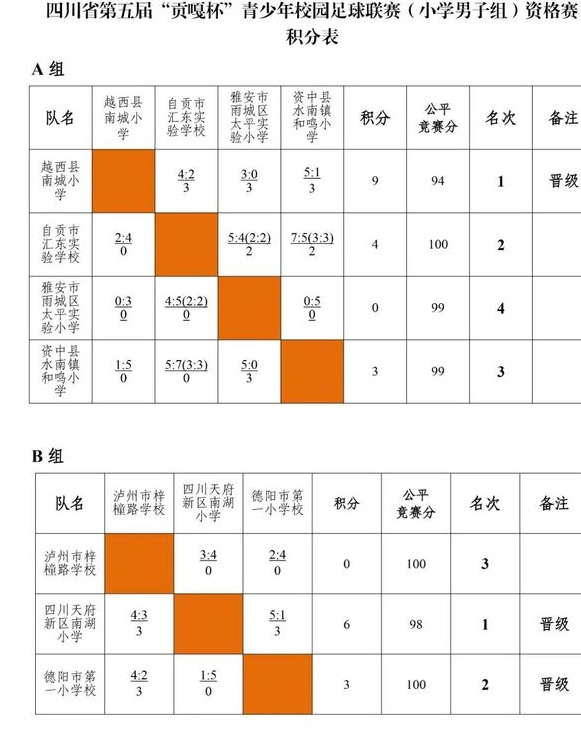 贡嘎杯丨四川省第五届“贡嘎杯”青少年校园足球联赛（小学组、初中组）资格赛晋级名单出炉相关图十