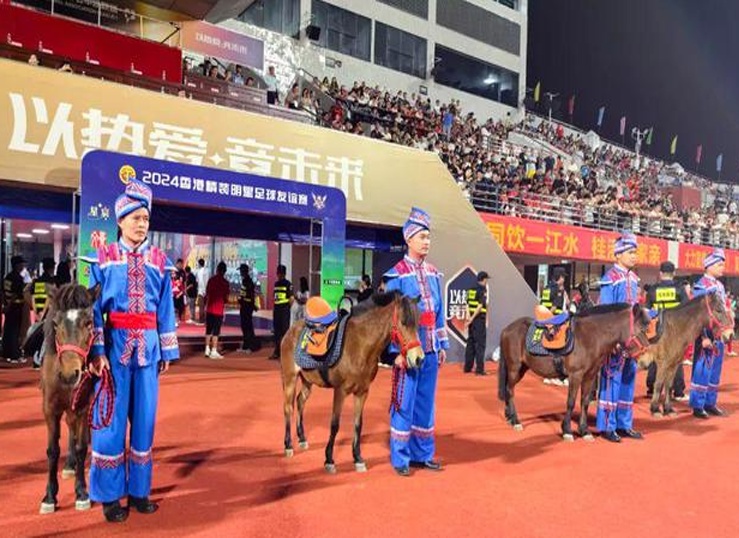 广西平果哈嘹足球联队与香港精装明星足球队举行足球友谊赛相关图二