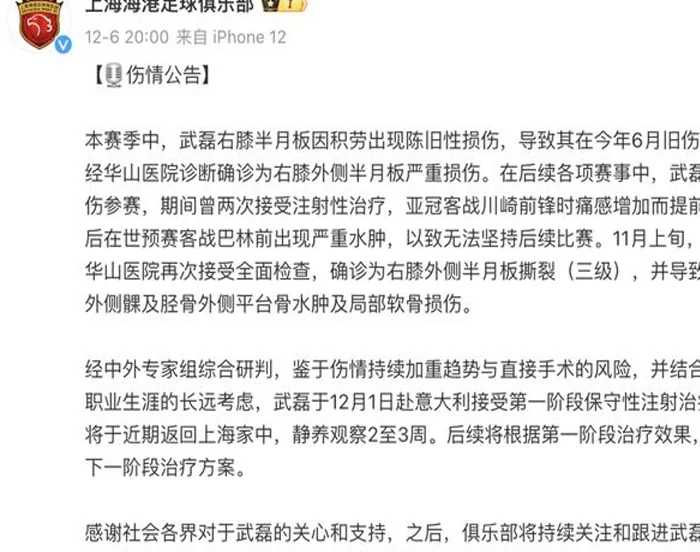 武磊结束欧洲疗程，已回国康复相关图九