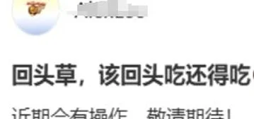 特训贝兹利回归广东！来聊聊一个广东球迷听到这个消息后的快乐！