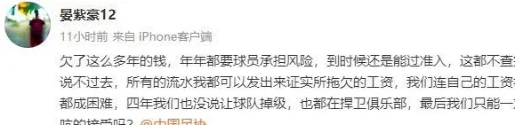 清偿公示后质疑满天飞韦世豪等3人质疑广州 沧州众将控诉欠薪相关图五