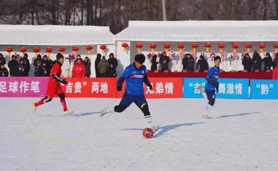 吉林地区首届“大东山水杯”乡村雪地足球争霸赛在舒兰市开赛！相关图三