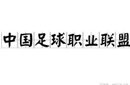 职业足球联盟与俱乐部会员制，能否成为国内足坛的有效举措？