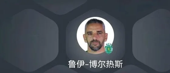 12月26日足坛转会热点④-博格巴 什克里尼亚尔 迪格雷戈里奥 高宇相关图二