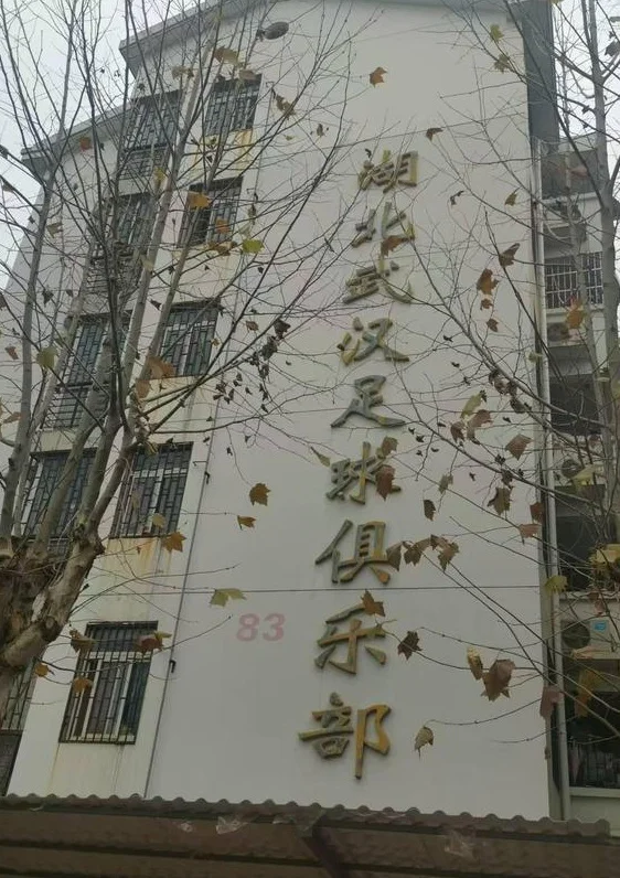 物尽其用，原武汉卓尔南湖基地已变成武汉市光谷汤逊湖高中相关图二