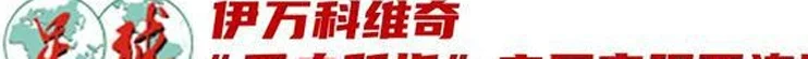 从张家胜、宋凯到周海滨、武磊……中国足球人的2024相关图七