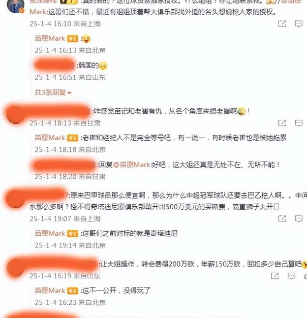 B2B中场来泰山？有人招摇撞骗 苗原：对标奇塔迪尼，大姐偷挖授权相关图四