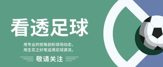 印尼开启豪赌模式！伊万不过度依赖归化，费南多拒绝来国家队报到