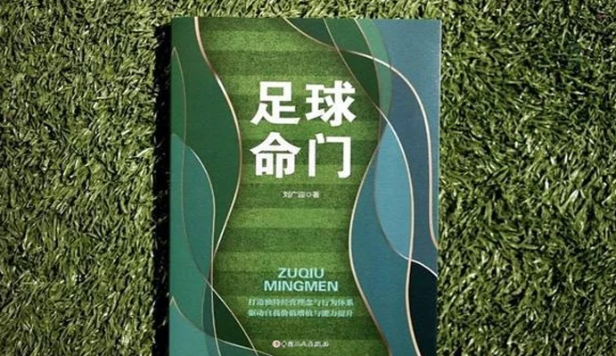 “创造”球迷、足球美学……管理学博士解读职业足球“命门”