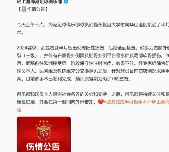 武磊4月之前都打不了比赛 如果打超级德比 对于申花是利好消息相关图二