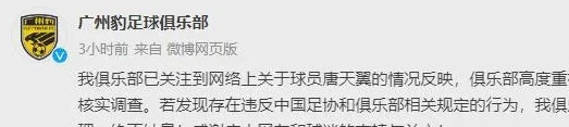 又一个郭田雨？国青天才身陷赌球风波 如今面临终身禁赛处罚相关图三