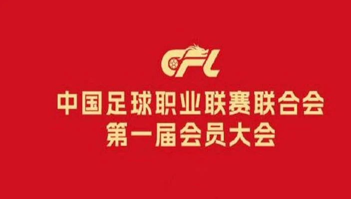 管办分离！官方：中足联正式成立，马宁等17人当选理事会理事