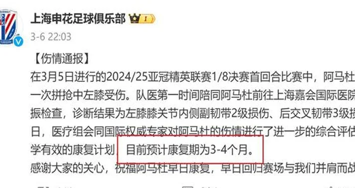 申花签约的优质外援 阿玛杜算是跟德罗巴一档的吗