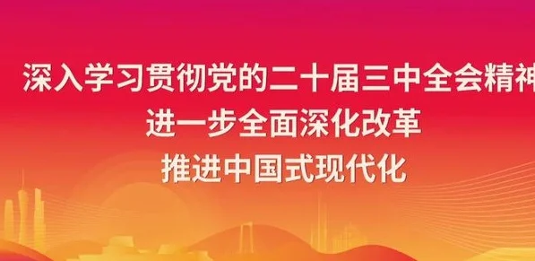 足球少年展技艺 绿茵场上逐梦想相关图三