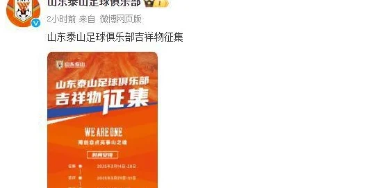 山东泰山最新消息！名宿率队5比1大胜，俱乐部官宣吉祥物征集相关图五