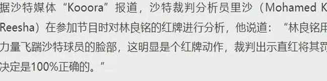 林良铭吃红牌不公？范志毅质疑亚足联，不应该安排西亚裁判来执法相关图四