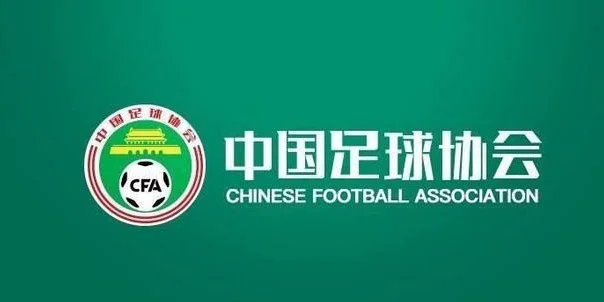 裁判评议：VAR越位判定划线有误，无法确认云南队进球是否有效