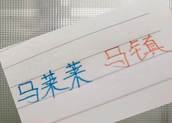 不要挑刺 ！ 申花出来双马 马镇跟马莱莱还是给大家奉献精彩比赛