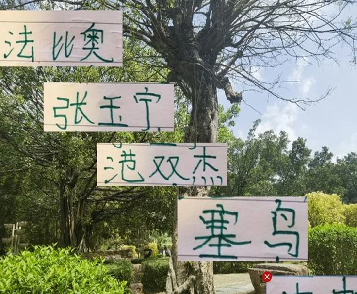 北京国安官宣4月最佳候选 有发飙 张玉宁 古加 小范 塞鸟
