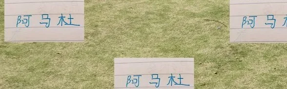 中超10轮战完 申花阿马杜只要恢复好