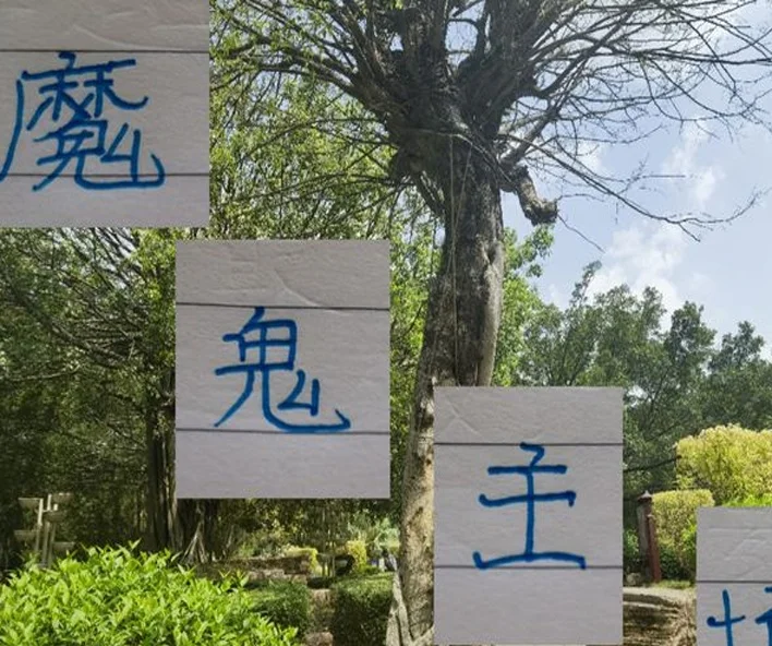 大连有魔鬼主场 ！ 北京国安的林良铭最有感触