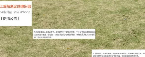 海港几乎是伤了一条后防线 跟武汉比赛 去年首发估计就剩下如萨了