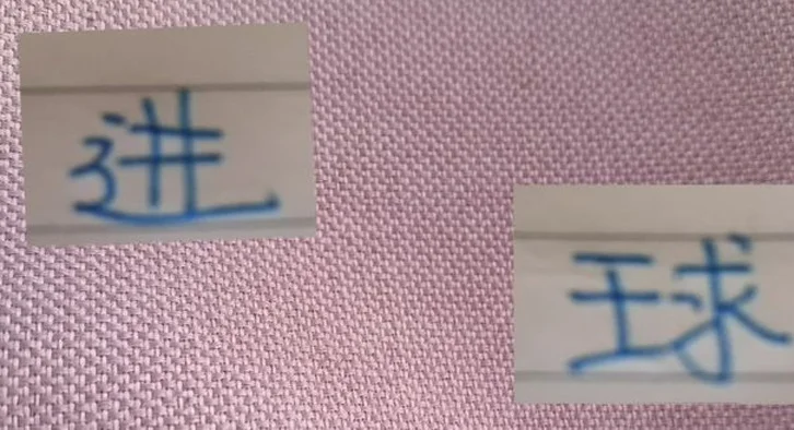 小将刘诚宇联赛首发就进球了 申花也是因祸得福了！