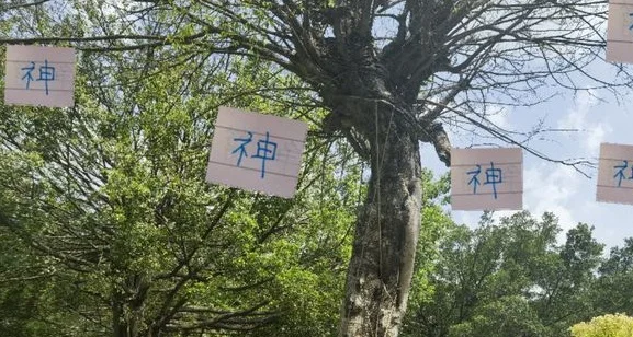 申花前俄罗斯主帅临场指挥就是神 11轮换上5个球员都有进球