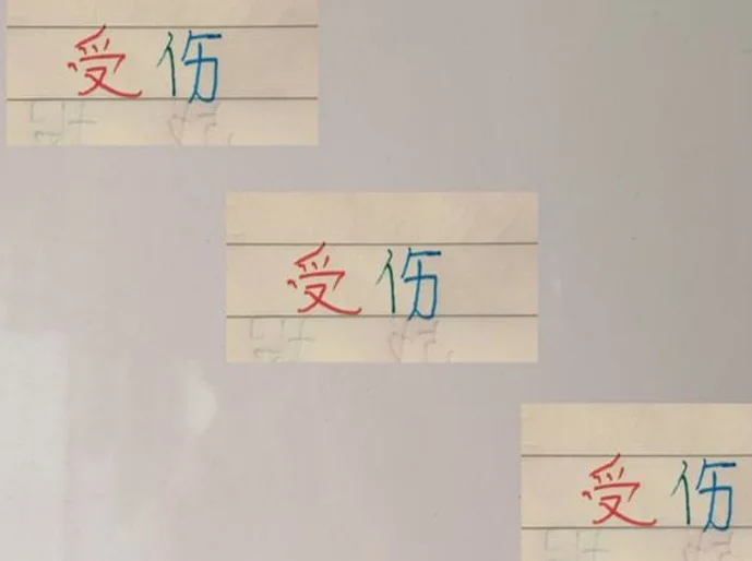 申花路易斯 海港的古斯塔沃 北京国安斯帕吉奇 没想到玻璃属性