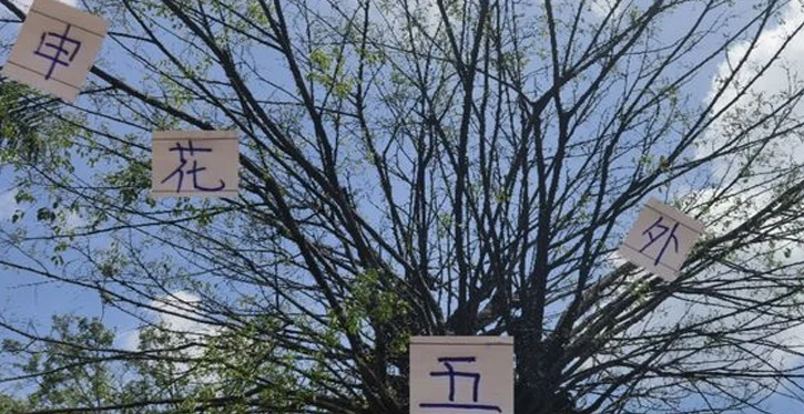 有点意外！11轮下轮申花五个外援 表现最好还是马纳法