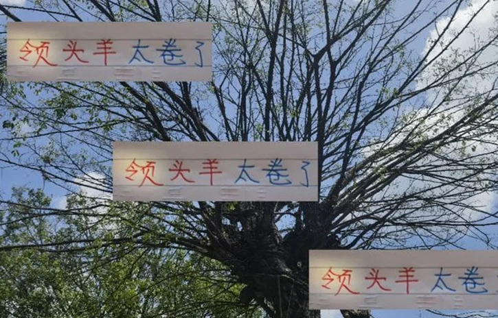 中超领头羊竞争太激烈 申花跟成都蓉城 都打到4比0大比分