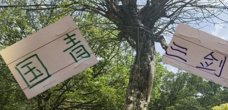 浙江王钰栋 申花刘诚宇都进球了 就差海港的蒯纪闻了