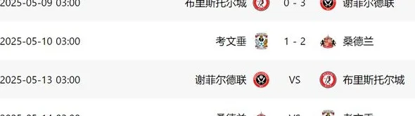 2-1后！英冠附加赛决赛2强呼之欲出：桑德兰绝杀，有望重回英超相关图六