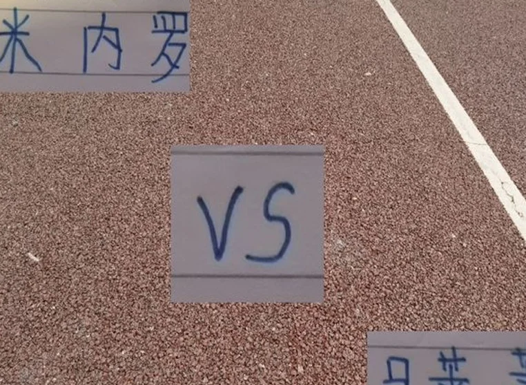 中超第13轮 大连马莱莱大战申花米莱莱 看看谁是真的莱莱