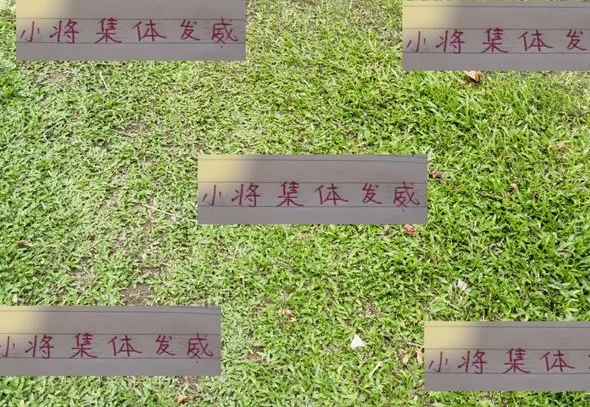 中超第12轮 20岁不到小朋友集体发威 申花刘诚宇是连续2轮进球
