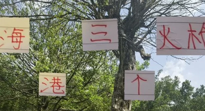 武磊 古斯塔沃 莱昂纳多 海港三个火枪手 赛季谁会进球最多