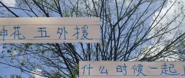 申花什么时候才五外援上场 四大豪门里面 又是申花外援上场最少