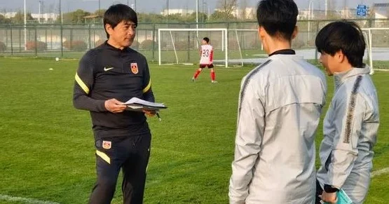 国字号洋帅的现状和未来解析：别因“个例”心有余悸相关图六